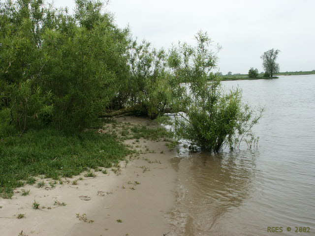 River Lek shore [NL 2002] © RGES